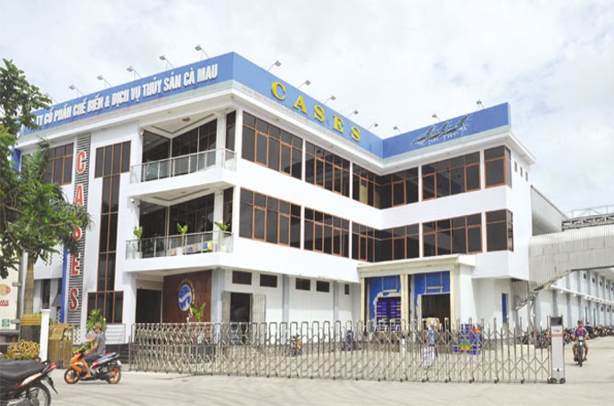 Dự án bàn giao dây chuyền cấp đông IQF thủy sản Cà Mau
